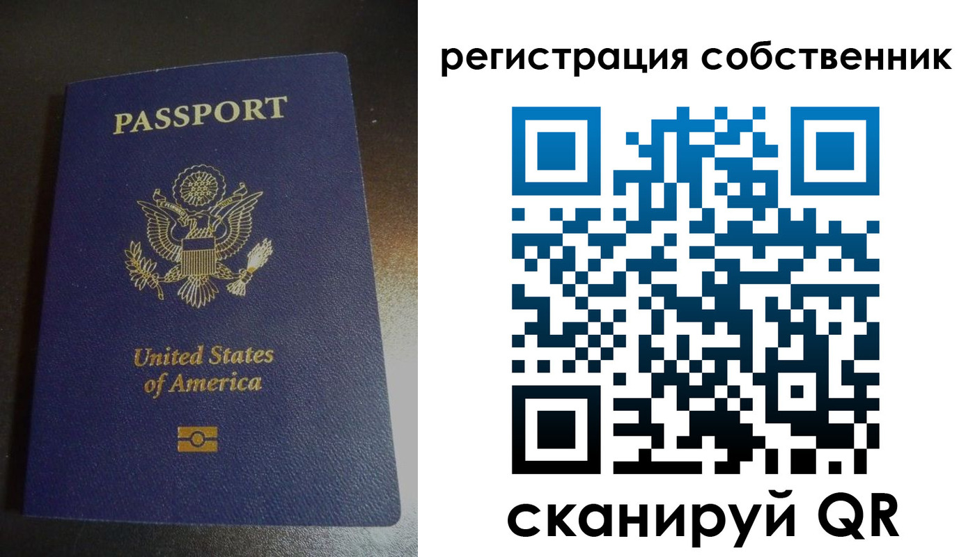 временная регистрация поиск в Курской области